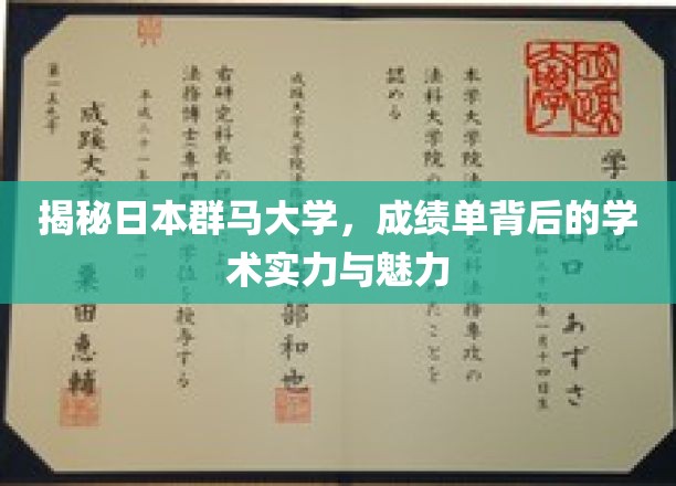 群马大学揭秘，探寻学术实力与独特魅力的双重奥秘