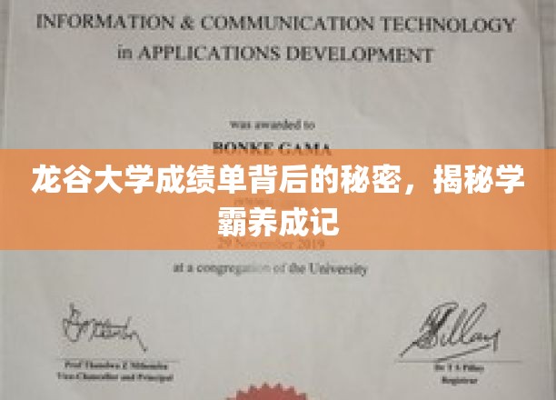 解码龙谷学霸，成绩单背后的非凡养成之路