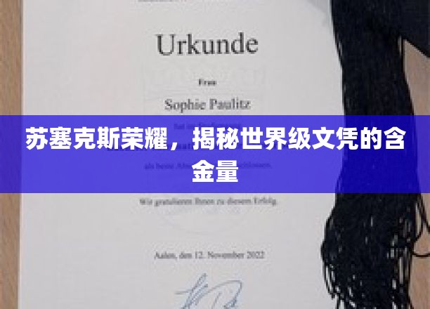 苏塞克斯荣耀探秘，探寻世界级文凭的非凡价值
