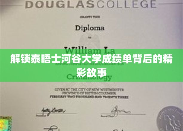 探寻泰晤士河谷大学成绩单的奥秘之旅
