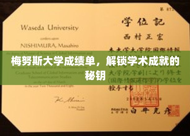 探索梅努斯大学成绩单，开启智慧成就之门