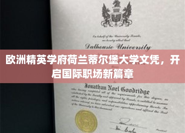 荷兰蒂尔堡大学精英学历，助你跃升国际职场舞台新高度