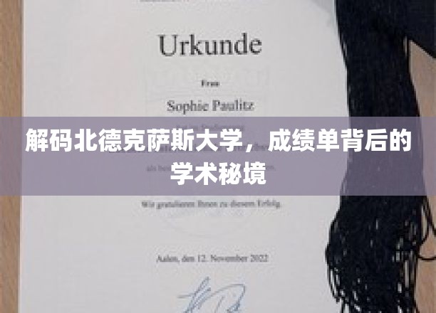 解码北德克萨斯大学，成绩单背后的学术秘境