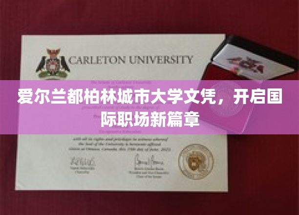 爱尔兰都柏林城市大学文凭，开启国际职场新篇章