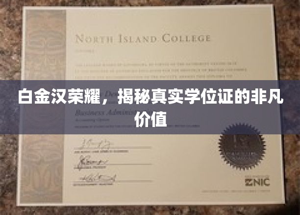 白金汉荣耀揭秘，学位证背后的非凡魅力与价值