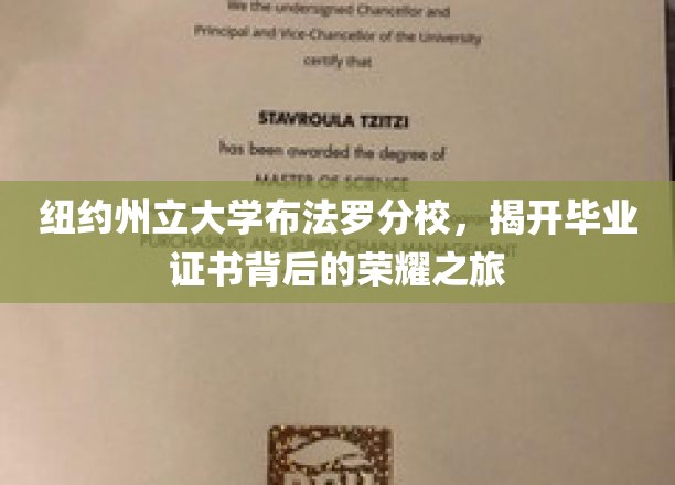 纽约州立大学布法罗分校，揭开毕业证书背后的荣耀之旅