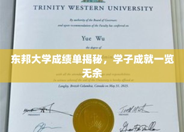 东邦学子风采大揭秘，成绩单背后的卓越成就
