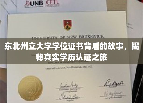 探寻东北州立大学学位证书的奥秘，一场揭秘学历认证的真实旅程
