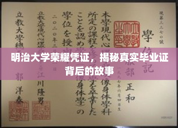 明治大学证书之谜，一探究竟的毕业证传奇