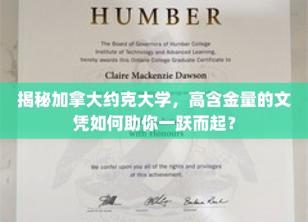 揭秘加拿大约克大学，高含金量的文凭如何助你一跃而起？