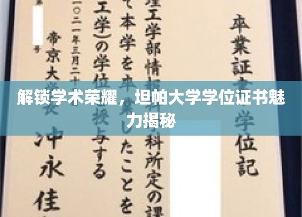 探寻坦帕大学学位证书背后的学术传奇