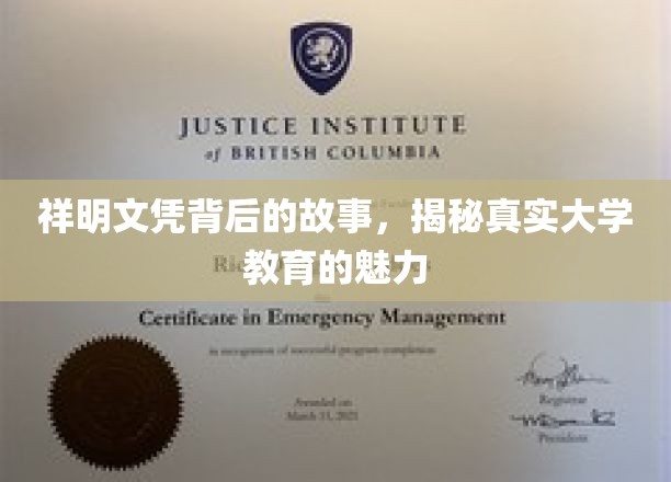 祥明文凭背后的传奇，探秘现代大学教育的非凡魅力