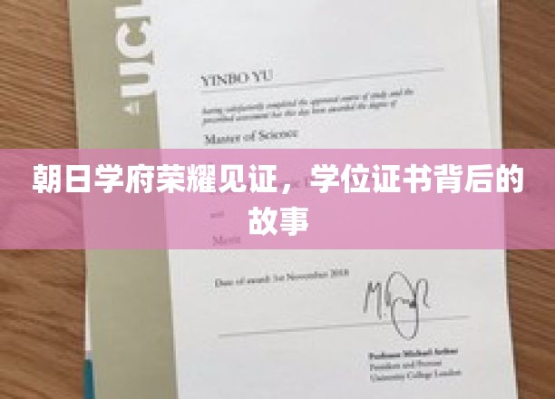 荣耀学府·证书背后，揭秘学子奋斗的璀璨篇章