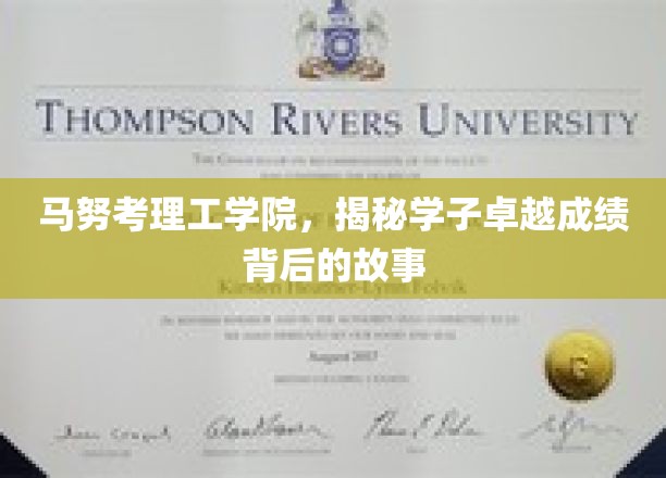 马努考理工学院，学子辉煌成绩背后的励志篇章