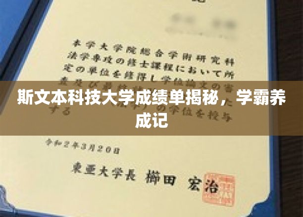 斯文本科技大学成绩单深度解析，学霸之路揭秘