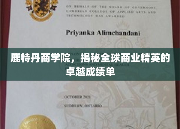 解码鹿特丹商学院，商业精英的辉煌成就榜