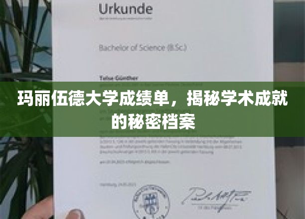 玛丽伍德大学成绩单背后的学术秘籍大揭秘