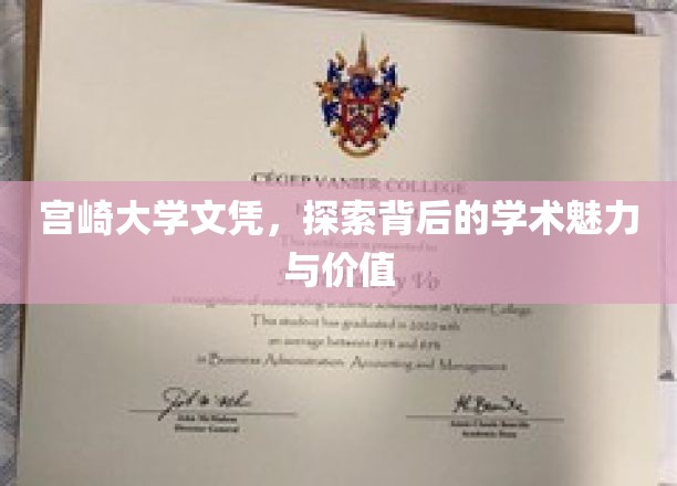 宫崎大学文凭之谜，揭秘学术魅力与价值所在