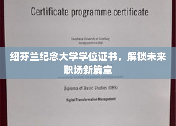纽芬兰纪念大学学位证书，解锁未来职场新篇章
