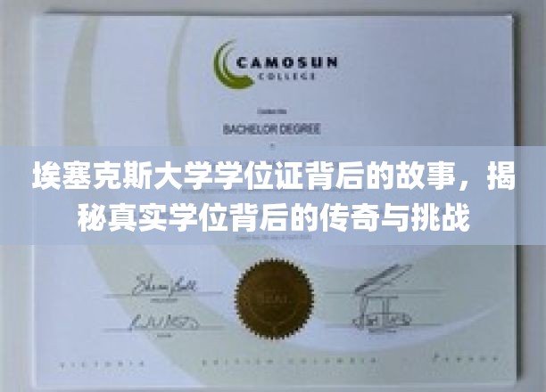 埃塞克斯大学学位证，探寻背后的传奇旅程与不屈挑战