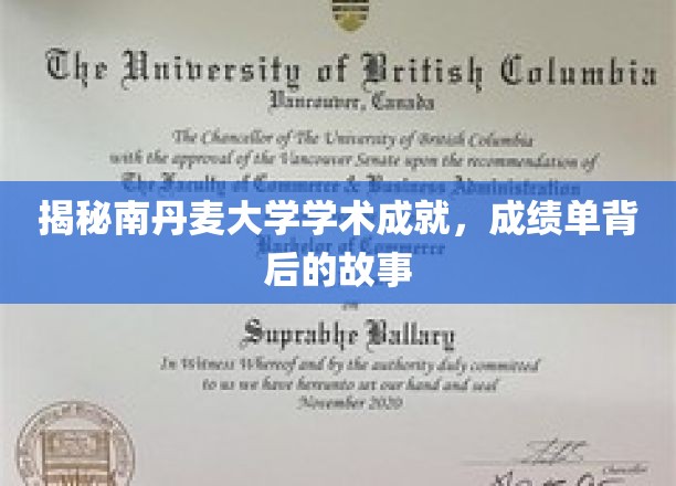 揭开南丹麦大学璀璨成就的面纱，探寻背后的辉煌故事