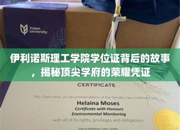 伊利诺斯理工学院学位证，探寻顶尖学府荣耀背后的传奇印记