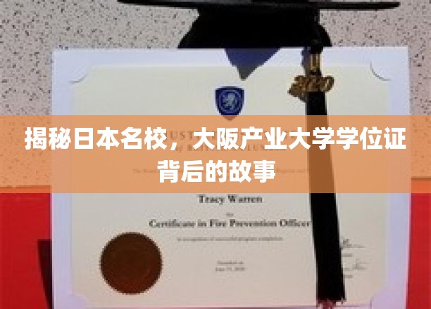 解码大阪产业大学，学位证背后的传奇之旅