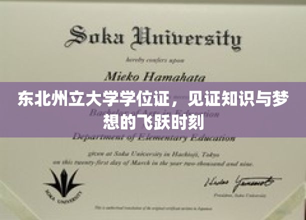 东北州立大学学位证闪耀，成就学子梦想腾飞之路