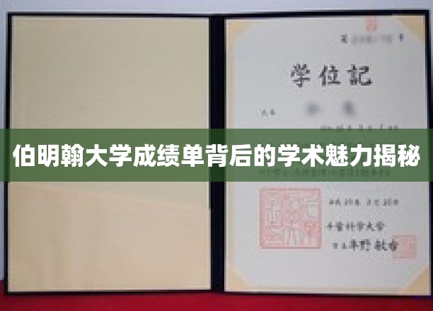 解码伯明翰大学成绩单，探寻学术风采的秘密通道