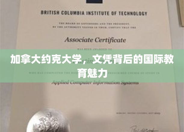 探索约克大学，文凭背后的全球教育风采