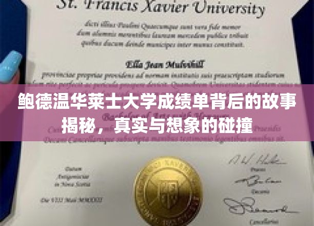 鲍德温华莱士大学成绩单之谜，揭开真实与虚构的交织面纱