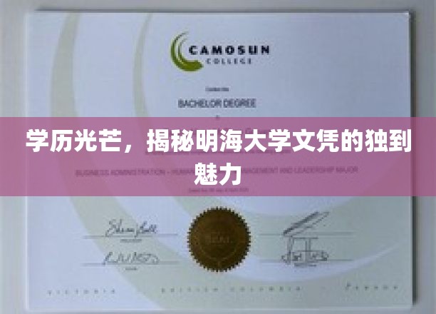 学历之光，探秘明海大学学位证书的独特魅力