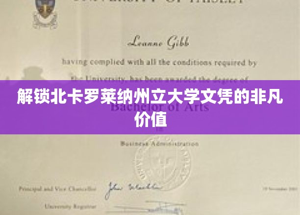 探寻北卡罗莱纳州立大学学位的隐藏宝藏