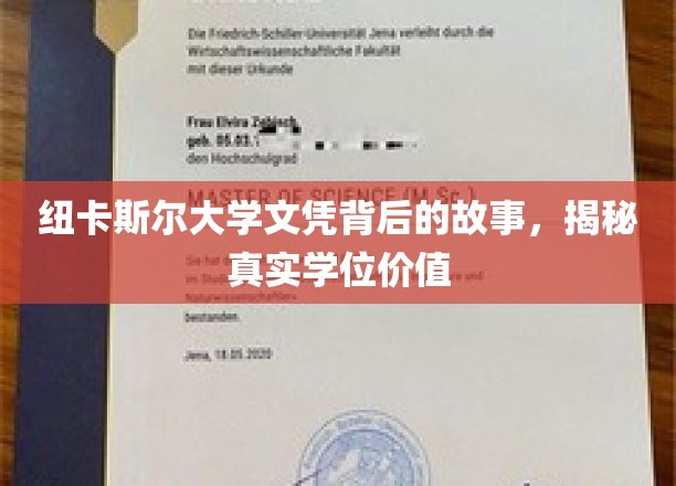 纽大文凭背后的真相揭秘，探寻学位的真实价值与影响