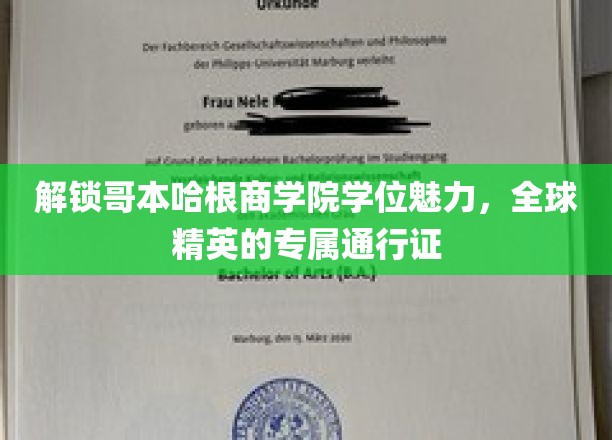 解码精英摇篮，哥本哈根商学院学位的全球影响力
