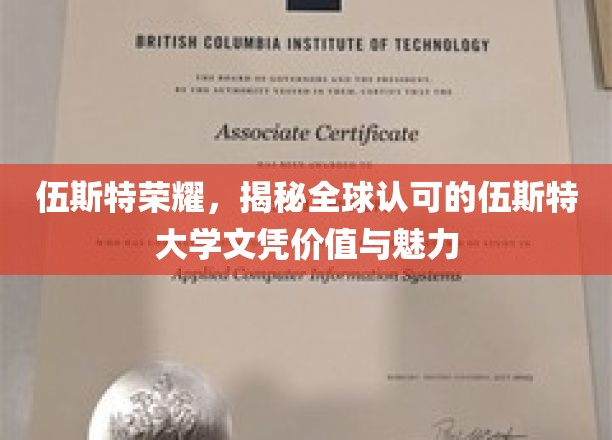 解码伍斯特荣耀，探寻国际认可的伍斯特大学文凭的非凡魅力