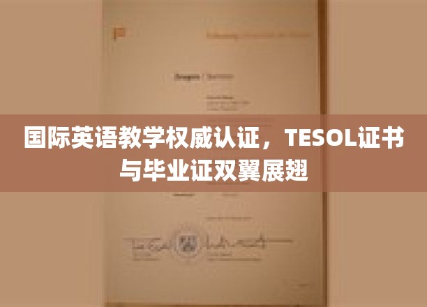 双证齐飞，TESOL权威认证助力英语教学新高度