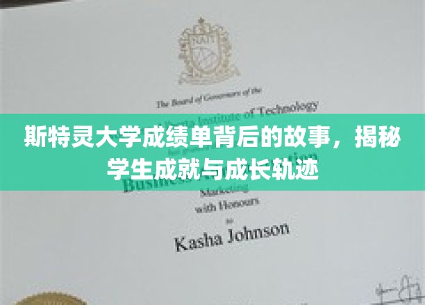 斯特灵大学成绩单背后，解码学子成长与辉煌历程