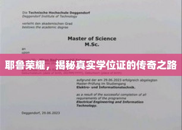 耶鲁传奇，学位证背后的非凡征程