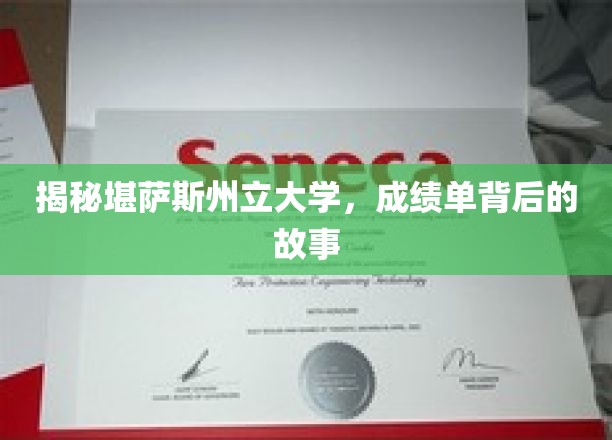 解码堪萨斯州立大学，成绩单背后的真实图景