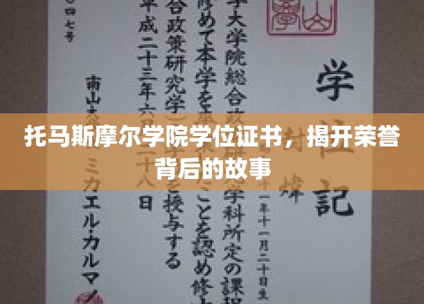 托马斯摩尔学院学位证书，揭开荣誉背后的故事