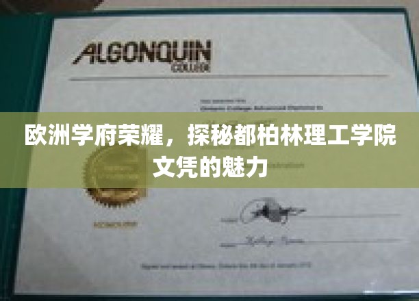 都柏林理工学院，揭秘欧洲顶尖学府的卓越文凭魅力