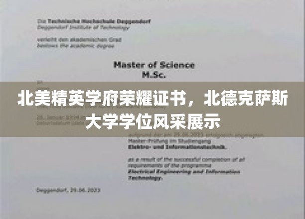 北美精英摇篮——北德克萨斯大学荣耀学位大揭秘！