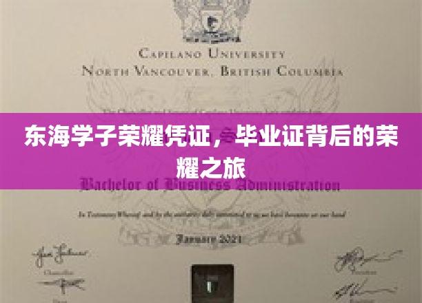 东海骄子荣耀足迹，毕业证书背后的辉煌篇章