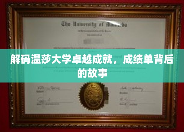 探寻温莎大学辉煌成就背后的精彩篇章