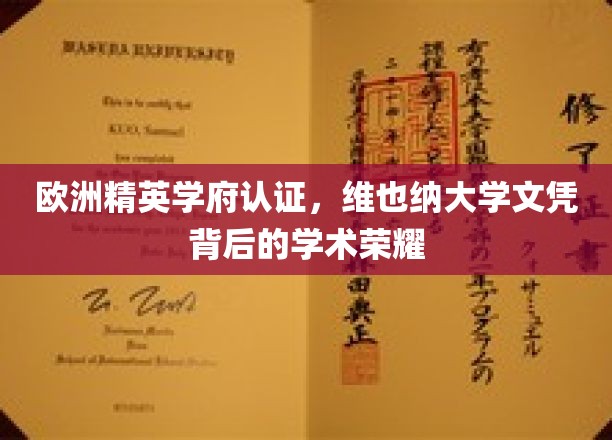 解锁维也纳大学荣耀，欧洲精英学府认证的学术巅峰之路