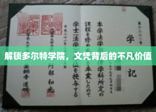 探寻多尔特学院，揭开文凭背后的非凡魅力