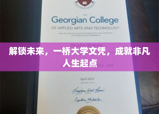 跨足未来之门，一桥大学文凭，引领非凡人生起航