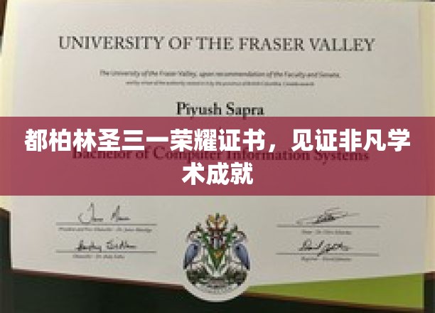 都柏林圣三一荣耀证书，学术巅峰的荣耀见证