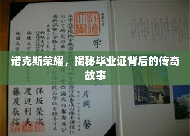 诺克斯荣耀，毕业证背后的传奇揭秘之旅